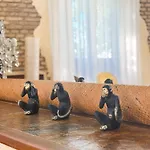 Monkeys Adriano Palace *
