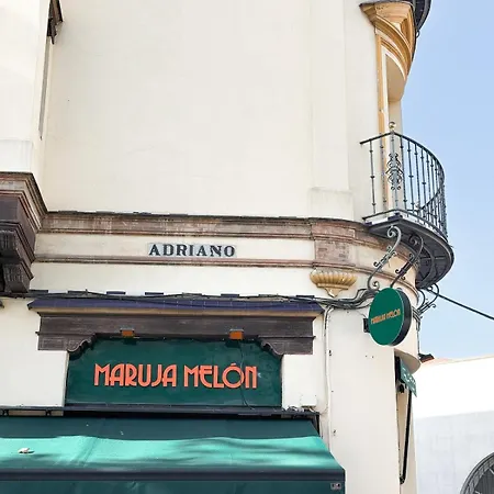 Monkeys Luxury Adriano Terrace Appartamento